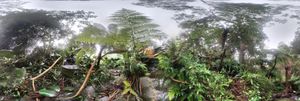 360 image of bushland on the Beaches Link tunnel route.